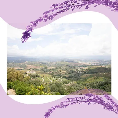 Nonna Ninna Bed and Breakfast San Floro